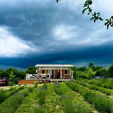 Lavender Eco At Balaton Kisapati
