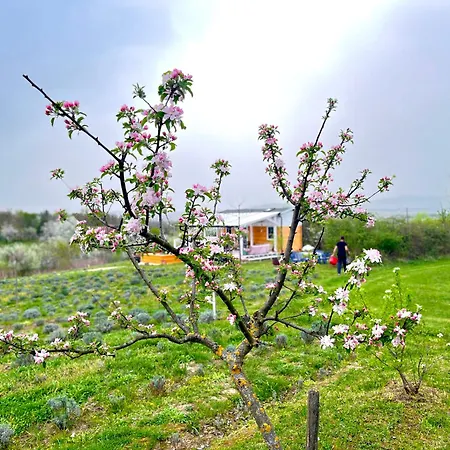 بيت للعطل Lavender Eco At Balaton Kisapati