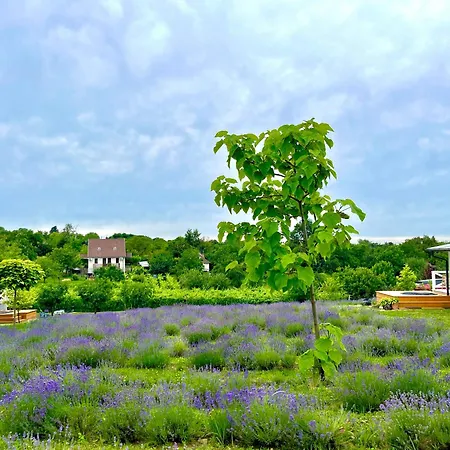 Semesterbostad Lavender Eco At Balaton *