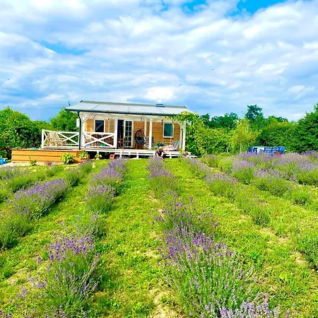 Lavender Eco At Balaton Tatil Evi Kisapati