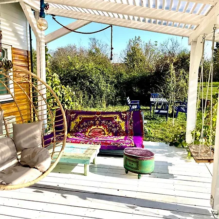 Lavender Eco At Balaton *