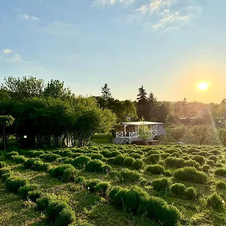 Lavender Eco At Balaton * Kisapati