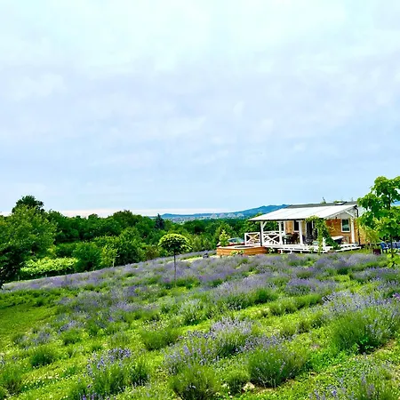 Lavender Eco At Balaton بيت للعطل