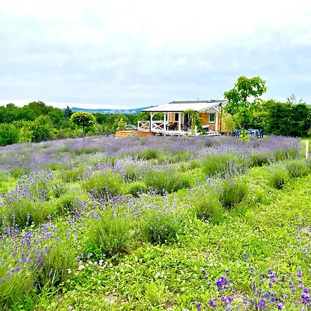 Lavender Eco At Balaton Semesterbostad