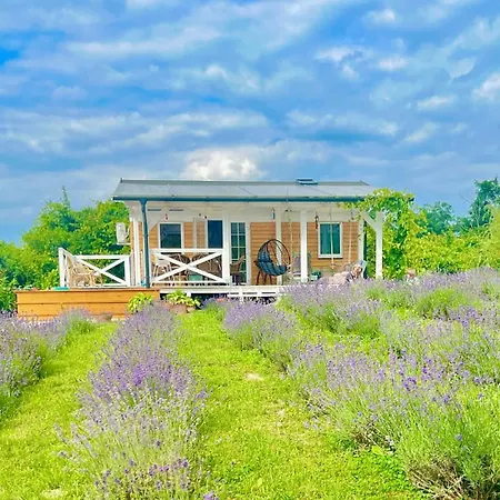 بيت للعطل Lavender Eco At Balaton Kisapati