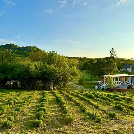 Lavender Eco At Balaton Tatil Evi