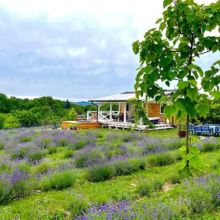 Lavender Eco At Balaton Semesterbostad *